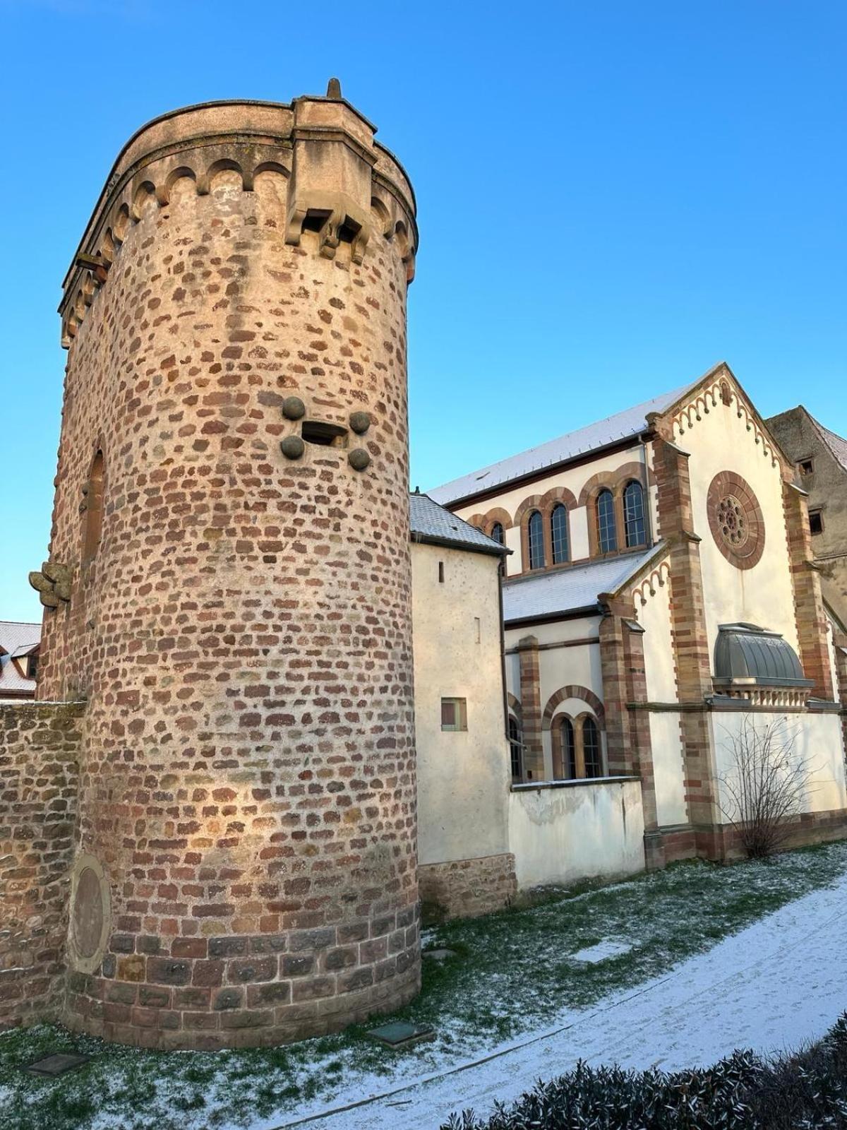Bienvenue Au Coeur D Alsace-Centre Obernai -3 Etoiles - Apartman Kültér fotó