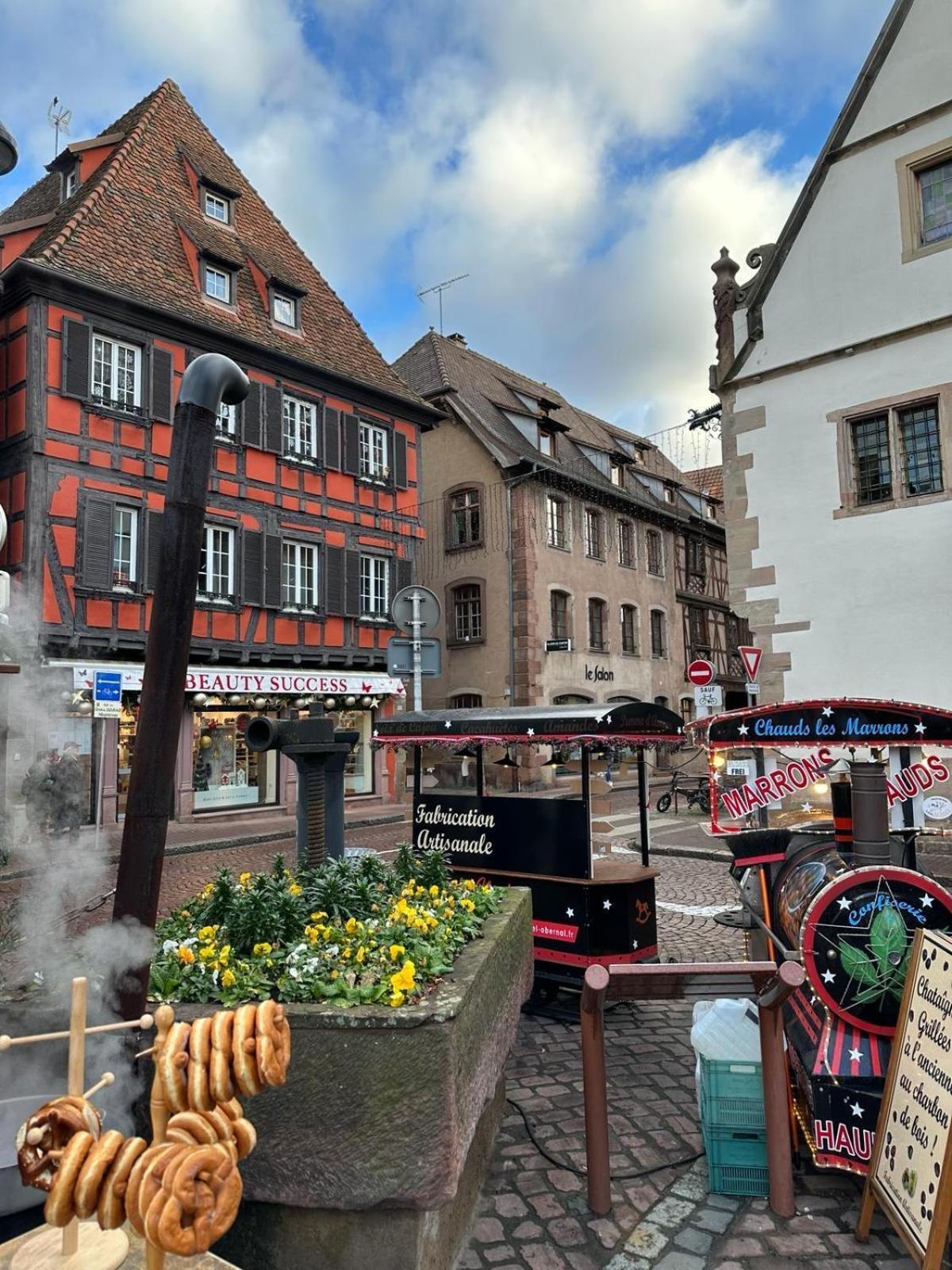 Bienvenue Au Coeur D Alsace-Centre Obernai -3 Etoiles - Apartman Kültér fotó