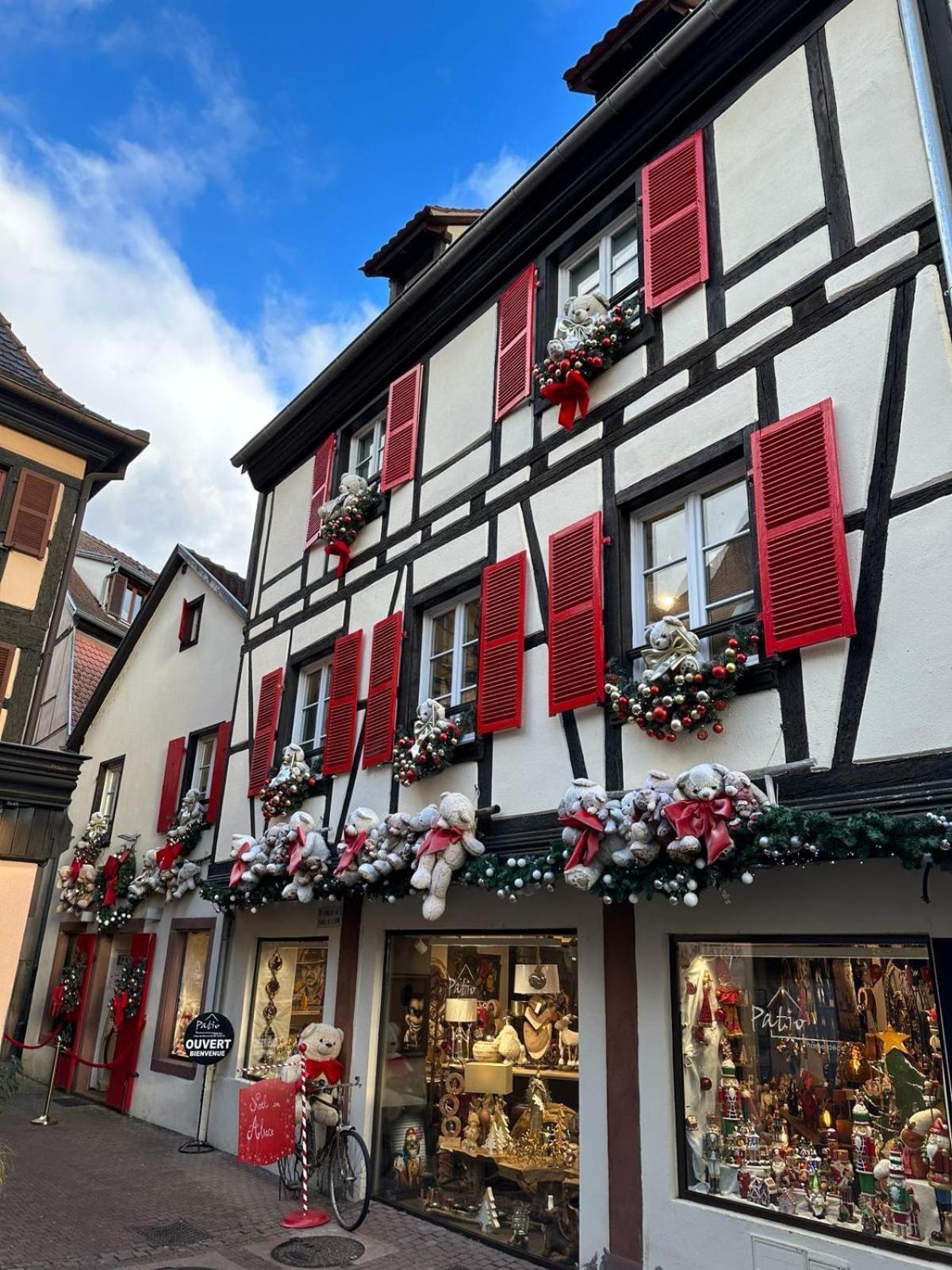 Bienvenue Au Coeur D Alsace-Centre Obernai -3 Etoiles - Apartman Kültér fotó